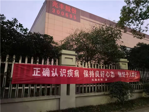 1582176180253581sTMS.jpg 3.jpg